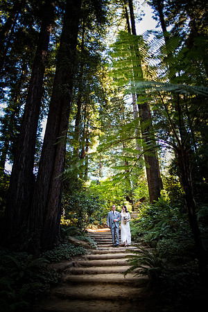 Sarah & Rich Wedding-39